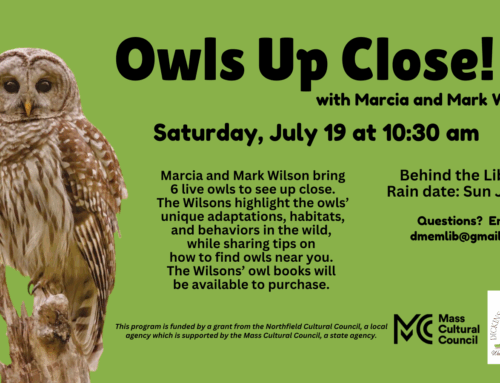 owls